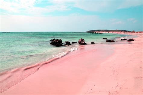 The Pink Beach of Italy: Whose it is anyway? - Blog