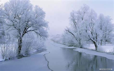 Winter Wonderland Scenes Wallpaper - WallpaperSafari