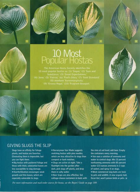 Popular Hostas | Hostas, Plants, Easy garden