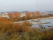 Category:Caerlaverock National Nature Reserve - Wikimedia Commons