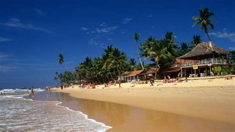 Sri Lanka beach town Hikkaduwa: Top travel tips | escape.com.au