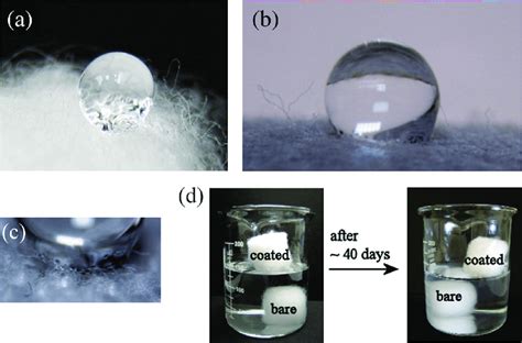 (Color online) Pictures of a water drop on (a) cotton ball and (b ...