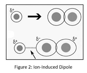 Difference Between Ion-Dipole and Ion-Induced Dipole