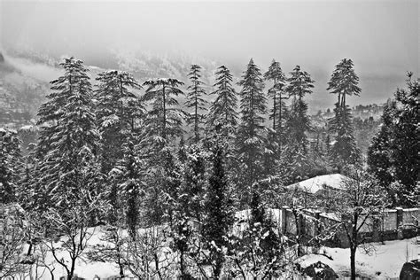 Snowfall flashed in Manali, Tourism, 2023 | What to do during Snowfall flashed in Manali ...