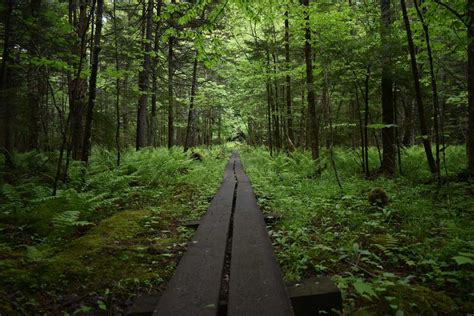 20 of the Best Hikes in Upstate New York - Girl With The Passport