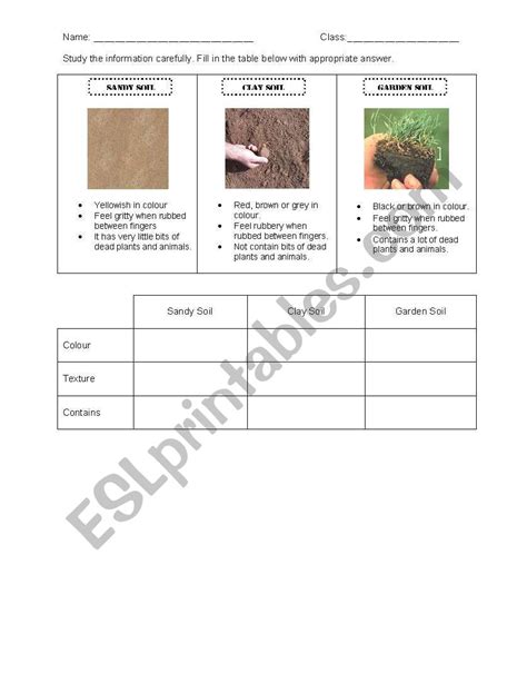 Free types of soil worksheet, Download Free types of soil worksheet png ...