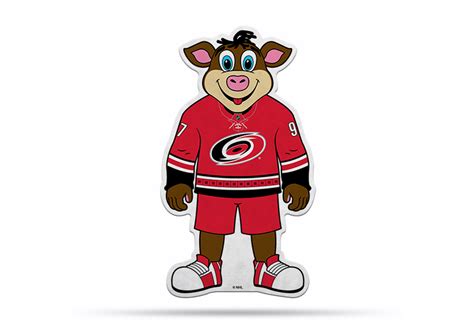 Carolina Hurricanes Mascot Pennant Fanion Premium Shape Cut Stormy