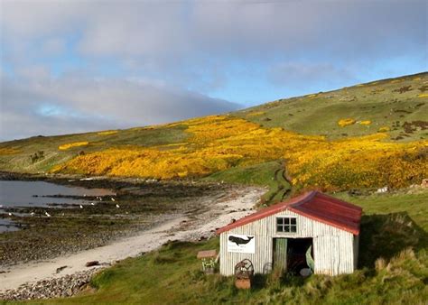 Falkland Islands Holidays 2020 & 2021 | Tailor-Made Falkland Islands Tours | Audley Travel