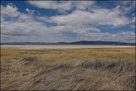 Harper Dry Lake Marsh - California | A 'dry lake' with high … | Flickr