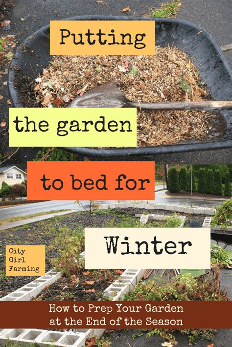 Winter Prep (Part 1: The Garden) - CITY GIRL FARMING