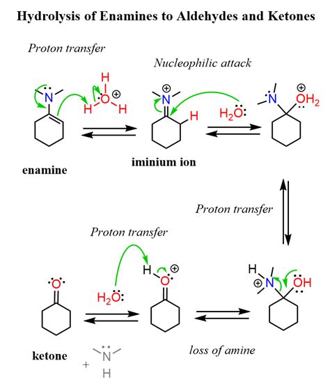 Hydrolysis of Enamines to Aldehydes and Ketones - The Mechanism | Organic chemistry study, Study ...