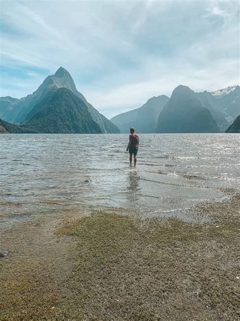 The Most Scenic Flight on Earth - Milford Sound Flight Cruise Flight