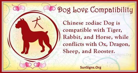 Chinese Dog Horoscope Compatibility - Who Should A Dog Marry? - SunSigns.Org