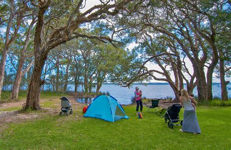 White Tree Bay campground and picnic area | What's nearby | NSW National Parks