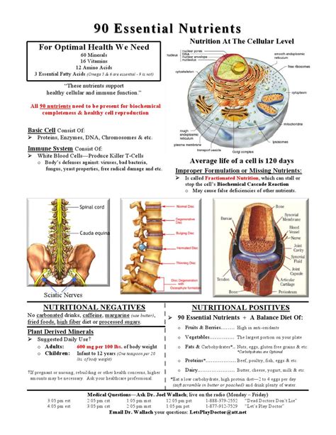 90 Essential Nutrients-Cellular Level | Cellular level, Nutrient ...