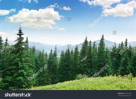 PowerPoint Template: forest green mountain forest landscape (jnmininhm)