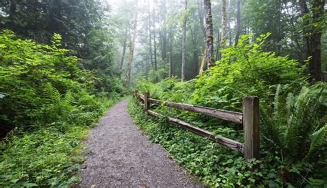 15 BEST Trails for Hiking and Running in Olympia, WA – Wild