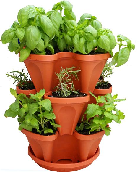 7 Best Self-Watering Planters for Indoors and Outdoors
