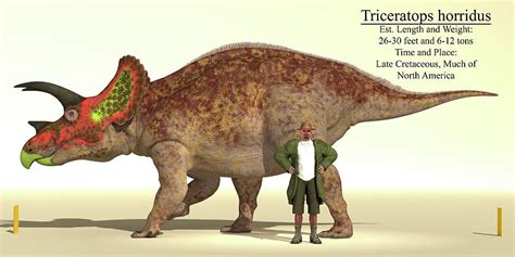 Size Reference Chart Of A Triceratops Photograph by Arthur Dorety - Fine Art America