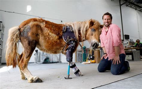 This Man Has Already Saved Over 20,000 Animals With Prosthetics