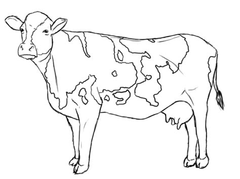 Get Cow Coloring Pages Free PNG - Color Pages Collection