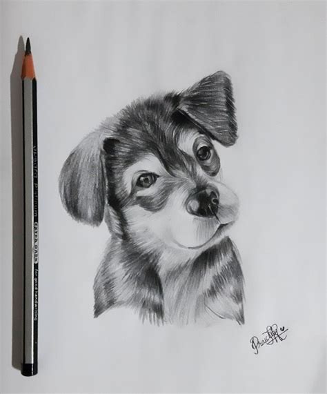 Dog Drawing | Disney drawings sketches, Animation art sketches, Drawings