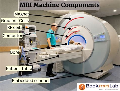 MRI MACHINE: Cost, Working, Benefits & Risks