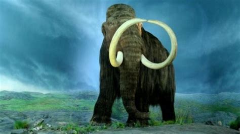 Cloning a Woolly Mammoth Is an Actual, Ongoing Science Project