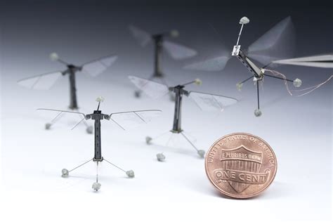 First controlled flight of an insect-sized robot - Robohub