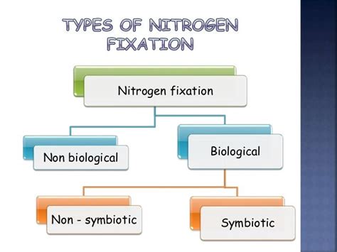 Nitrogen fixation