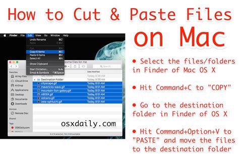 Office for mac 2011 problem with cut-paste - seopvseojj