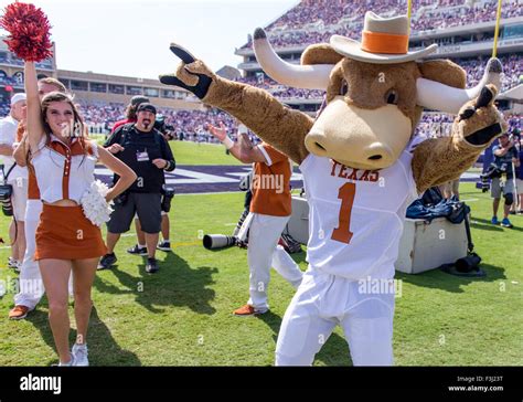 Texas longhorns mascot hi-res stock photography and images - Alamy