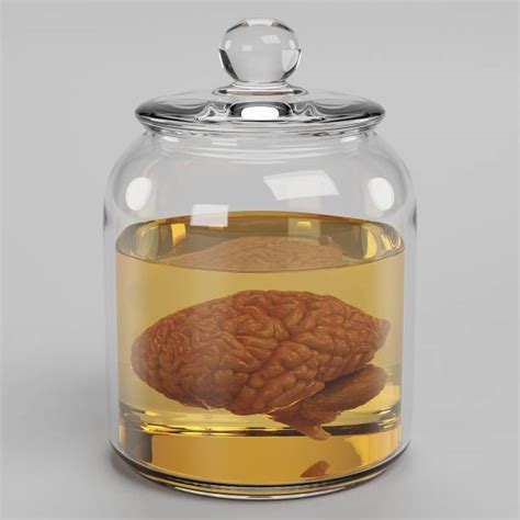 110+ Brain Jar Science Anatomy Stock Photos, Pictures & Royalty-Free ...