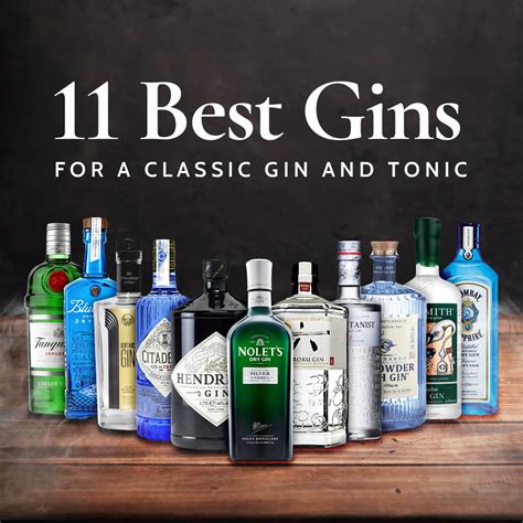 11 Best Gins for a Classic Gin and Tonic | Nestor Liquor