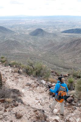 SONORAN DESERT NATIONAL MONUMENT LIVESTOCK ABUSE – The Wildlife News