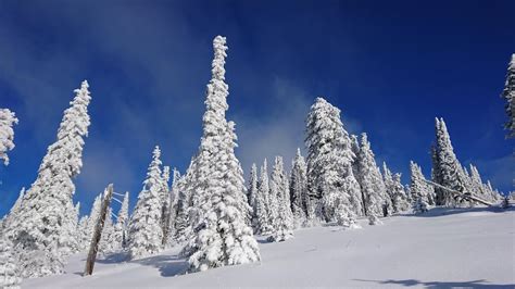 Mount Spokane [OC] [5504x3096] : winterporn