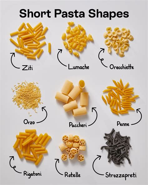 Esitellä 61+ imagen types of pasta shapes - abzlocal fi