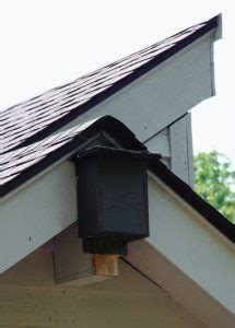 How to Install a Bat House | Batweek.ORG | Go to Bat For Bats!