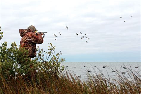 Hunting Diving Ducks - Divers Down | Shooting Sportsman Magazine