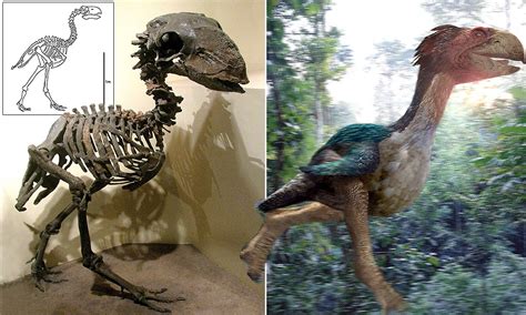 Giant prehistoric 'terror bird' once thought to be a ruthless predator ...