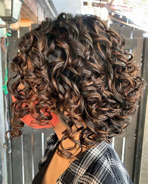 18 Stunning Curly Hair Highlights Ideas For 2023 | Colored curly hair ...