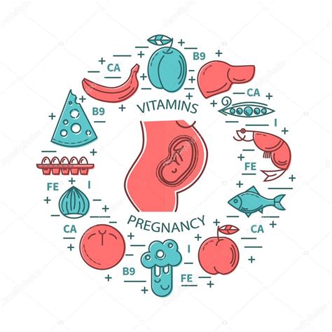 Vitamins and Nutrition pregnancy — Stock Vector © lilileka #112383368