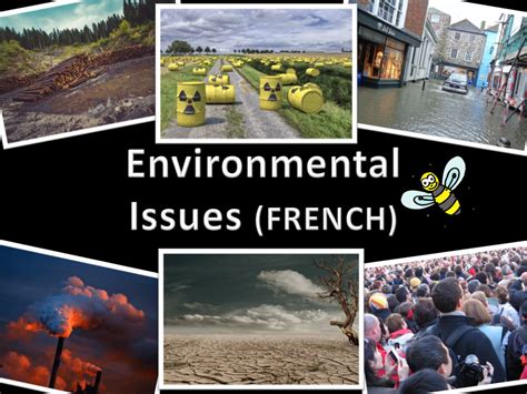 French environmental issues bundle | Teaching Resources