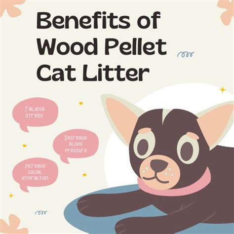 Benefits of Wood Pellet Cat Litter - Woody Geek