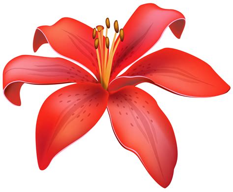 Red Lily Hd PNG Transparent Background, Free Download #46492 - FreeIconsPNG