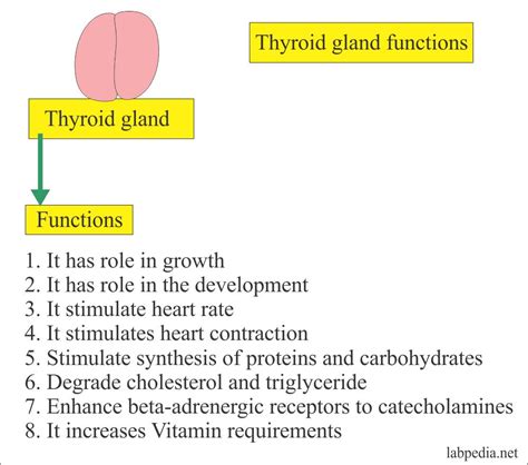 Thyroid - Part 1 - Thyroid Function Test (Thyroid Hormones) T4, T3, TSH - Labpedia.net