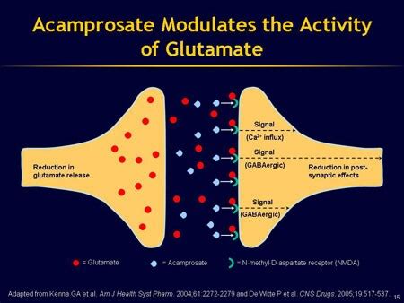 Neurobiology and Pharmacotherapy for Alcohol Dependence: Treatment Options