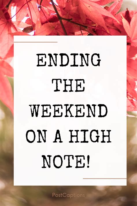 35 End of the Weekend Quotes and Captions for Instagram - PostCaptions.com