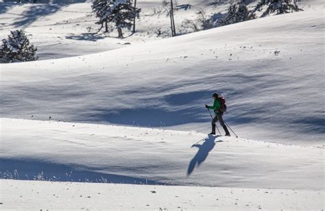 What Type of Cross Country Skiing Should You Choose?