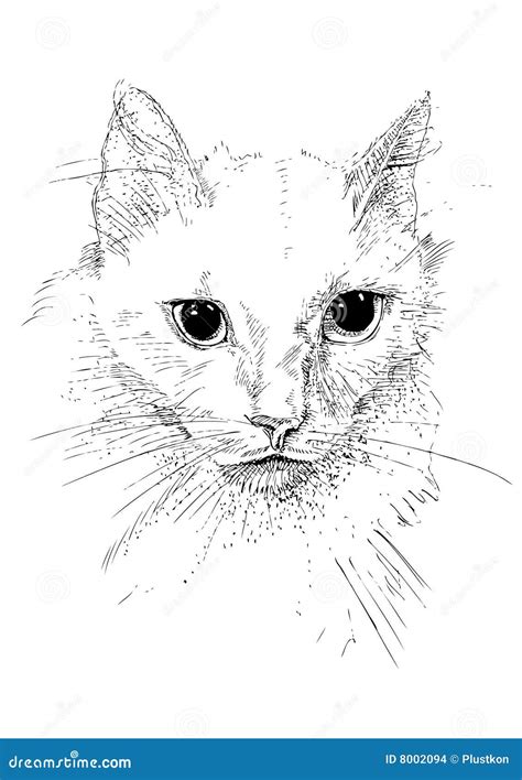 Cat Pen Ink Stock Images - Image: 8002094